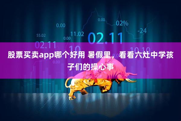 股票买卖app哪个好用 暑假里，看看六灶中学孩子们的操心事