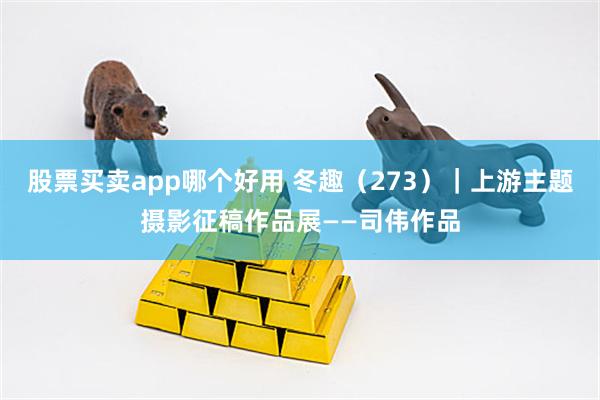股票买卖app哪个好用 冬趣(273)|上游主题摄影征稿作品展——司伟作品